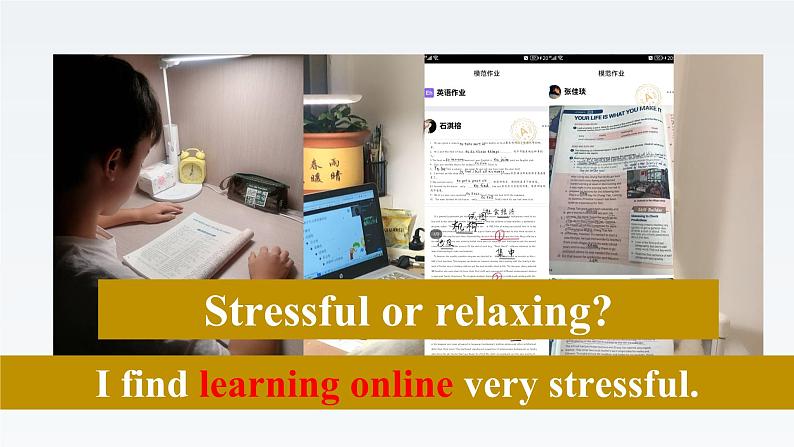 2019北师大版高中英语必修一Unit1Lesson2Understanding and Copying with Stress课件03