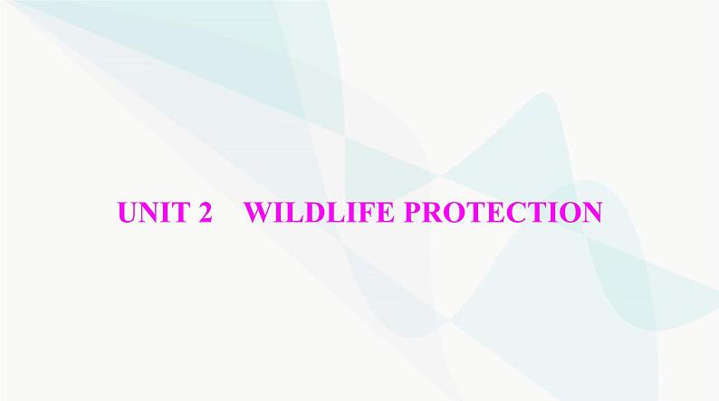 2024年高考英语一轮复习必修第二册UNIT2 WILDLIFE PROTECTION课件01