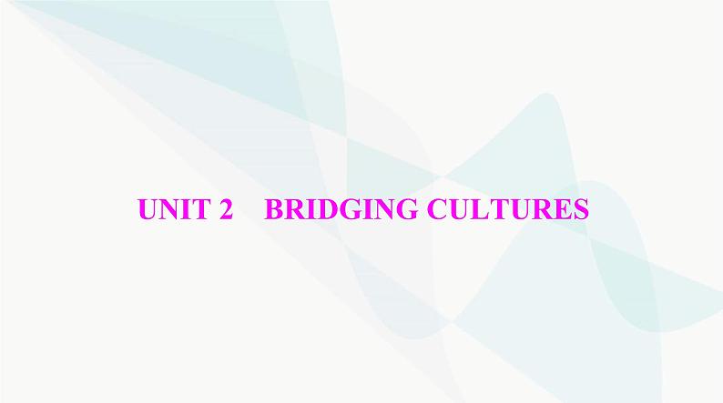 2024年高考英语一轮复习选择性必修第二册UNIT2 BRIDGING CULTURES课件01