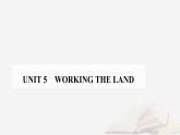 新教材2023高中英语Unit5WorkingtheLandSectionⅠReadingandThinking课件新人教版选择性必修第一册