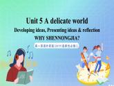 专题5.3 Unit 5 Developing ideas, Presenting ideas & reflection 课件+作业 高一英语外研版(2019)选择性必修二