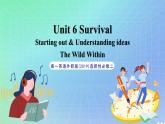 專題6.1 Unit 6 Starting out & Understanding ideas 課件+作業(yè) 高一英語外研版(2019)選擇性必修二
