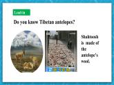 【大单元】2.2 Unit 2 Wildlife Protection Readingand thinking 课件