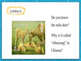 【大单元】2.5 Unit 2 Wildlife Protection workbook-reading and writing 课件