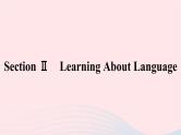 新教材2023年高中英语Unit2BridgingCulturesSectionⅡLearningAboutLanguage课件新人教版选择性必修第二册