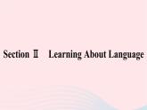 新教材2023年高中英语Unit4JourneyAcrossaVastLandSectionⅡLearningAboutLanguage课件新人教版选择性必修第二册