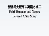 新北師大版高中英語必修二Unit5Humans and Nature-Lesson1A Sea Story課件
