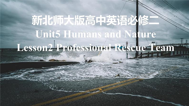 新北师大版高中英语必修二Unit5Humans and Nature-Lesson2Professional Rescue Team课件01