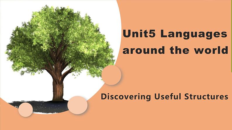 新人教版高中英语必修一Unit5 Languages around the world——Discovering useful structures 课件01