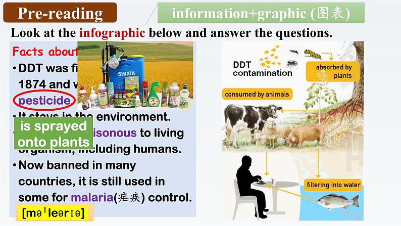 新外研社高中英语选择性必修三Unit6Nature in words-Developing Ideas课件03