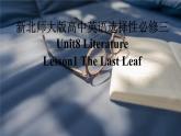 新北師大版高中英語(yǔ)選擇性必修三Unit8Literature-Lesson1The last leaf課件