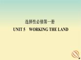 2024版新教材高考英语全程一轮总复习Unit5WorkingtheLand课件新人教版选择性必修第一册