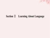 新教材2023版高中英语Unit1ArtSectionⅡLearningAboutLanguage课件新人教版选择性必修第三册
