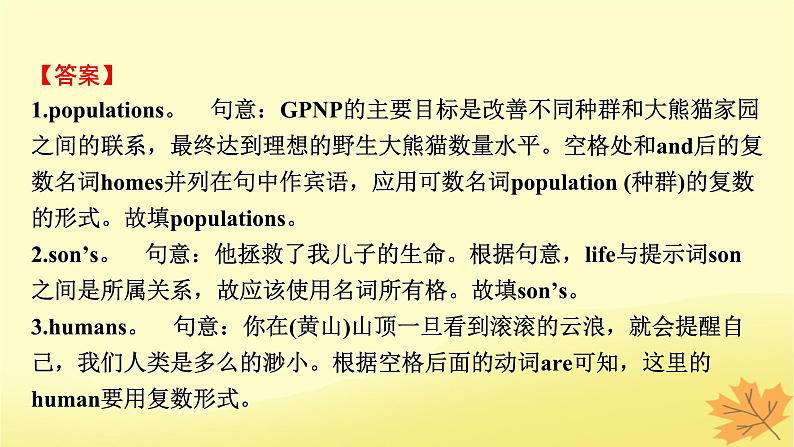 2024版高考英语一轮总复习第二部分基础语法讲练专题一词法篇第2讲名词与数词课件第5页