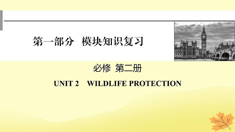 2024版高考英语一轮总复习第一部分模块知识复习必修第二册Unit2WildlifeProtection课件01