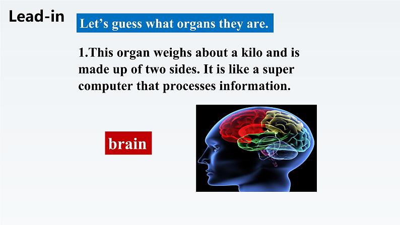 新北师大版高中英语选择性必修三Unit9Human Biology-Lesson2Brain Power课件第3页