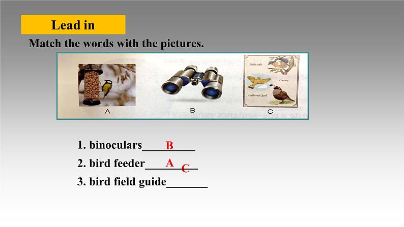 2021新人教高中英语必修二Unit2 Listening and Talking-Help the wildlife in your neighbourhood课件PPT第3页