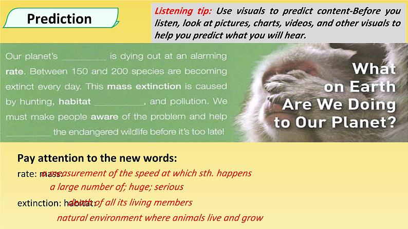 2019新人教高中英语必修二Unit2 Wildlife Protection--Listening and Speaking公开课课件06