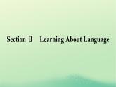 广西专版2023_2024学年新教材高中英语Unit4JourneyAcrossaVastLandSectionⅡLearningAboutLanguage课件新人教版选择性必修第二册