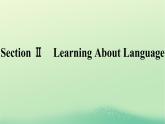 广西专版2023_2024学年新教材高中英语Unit1PeopleofAchievementSectionⅡLearningAboutLanguage课件新人教版选择性必修第一册