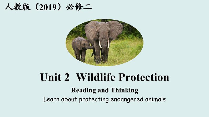 2024学年高一英语 人教版（2019）必修二 课件  Unit 2 Reading and Thinking01