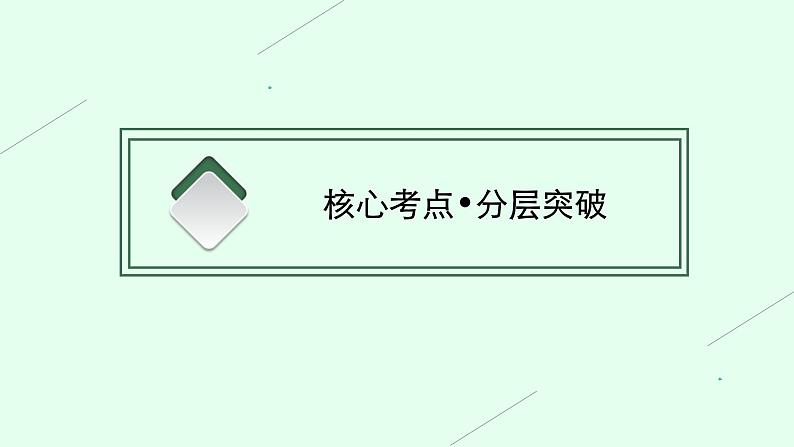 人教版高考英语一轮复习语法专题1名词和冠词课件03