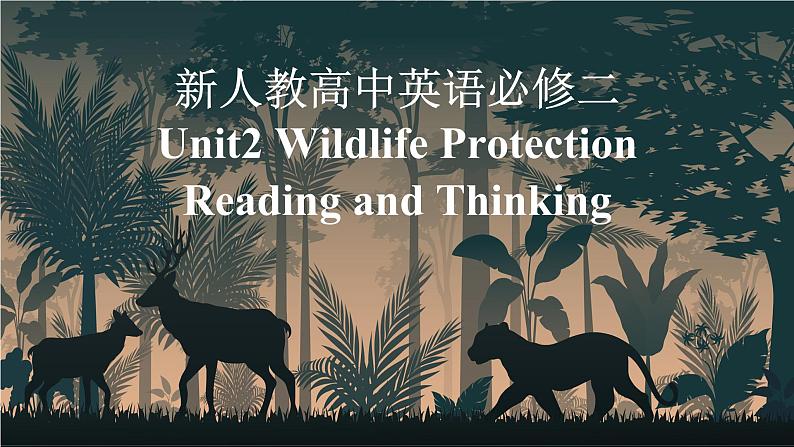 新人教高中英语必修二Unit2Wildlife Protection-Reading and Thinking课件01