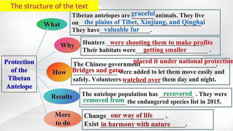 新人教高中英语必修二Unit2Wildlife Protection-Reading and Thinking课件06