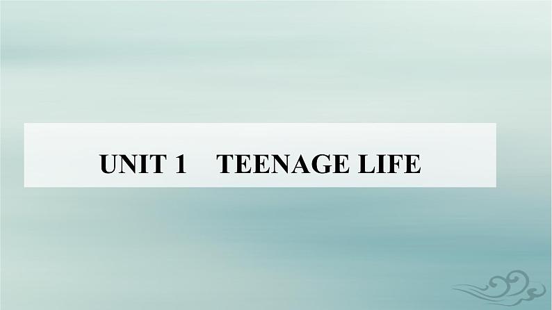 2023_2024学年新教材高中英语Unit1TeenageLifeSectionI课件新人教版必修第一册第1页