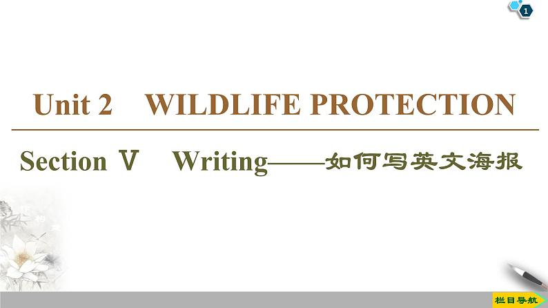 19-20 Unit 2 Section Ⅴ　Writing——如何写英文海报-人教版英语必修第二册全册PPT课件01