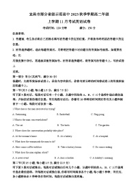 湖北省宜昌市部分省级示范高中2023-2024学年高二上学期11月月考英语试卷（Word版附解析）