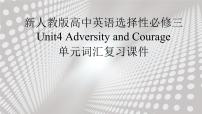 人教版 (2019)选择性必修 第三册Unit 4 Adversity and Course复习课件ppt