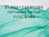 新人教版高中英语选择性必修四Unit5Launching your Career单元词汇复习课件
