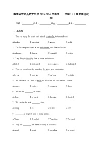 2023-2024学年海南省定安县定安中学高一上学期11月期中英语试题含答案