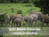 人教版（2019）高中英语必修二 Unit2 Wildlife Protection Listening and Speaking 听说课件（PPT+音频）