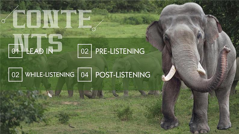 人教版（2019）高中英语必修二 Unit2 Wildlife Protection Listening and Speaking 听说课件（PPT+音频）02