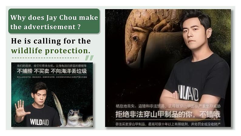 人教版（2019）高中英语必修二 Unit2 Wildlife Protection Listening and Speaking 听说课件（PPT+音频）05