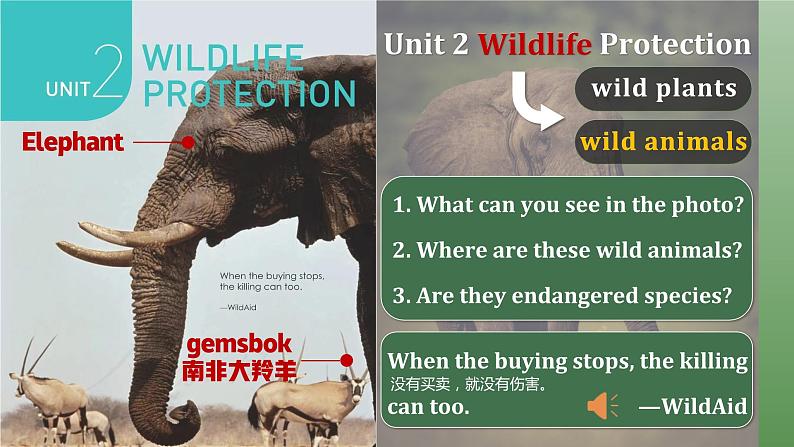 人教版（2019）高中英语必修二 Unit2 Wildlife Protection Listening and Speaking 听说课件（PPT+音频）06