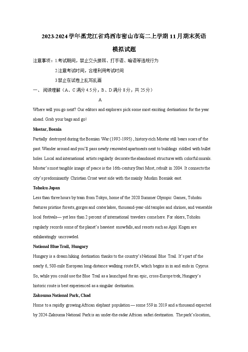 2023-2024学年黑龙江省鸡西市密山市高二上册11月期末英语测试卷（附答案）第1页