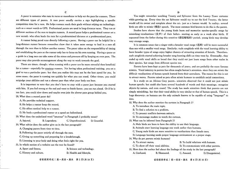 安徽省淮北市树人高级中学2023-2024学年高二上学期期末英语试题03