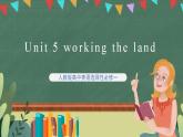 Unit 5 Reading and Thinking  課件  人教版高中英語(yǔ)選修一