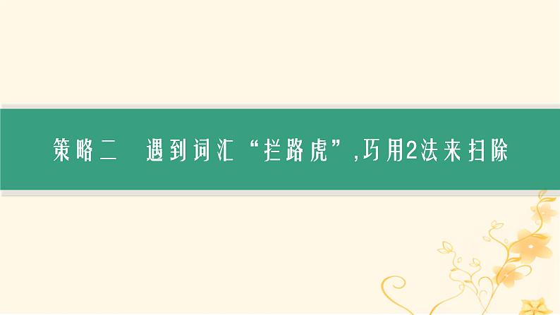 适用于新高考新教材2024版高考英语二轮复习备考前沿高考必会的“快”“准”读文3策略课件第8页