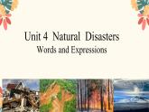 人教版（2019）高中英语必修一Unit4 Natural Disasters Words and Expressions 词汇用法课件