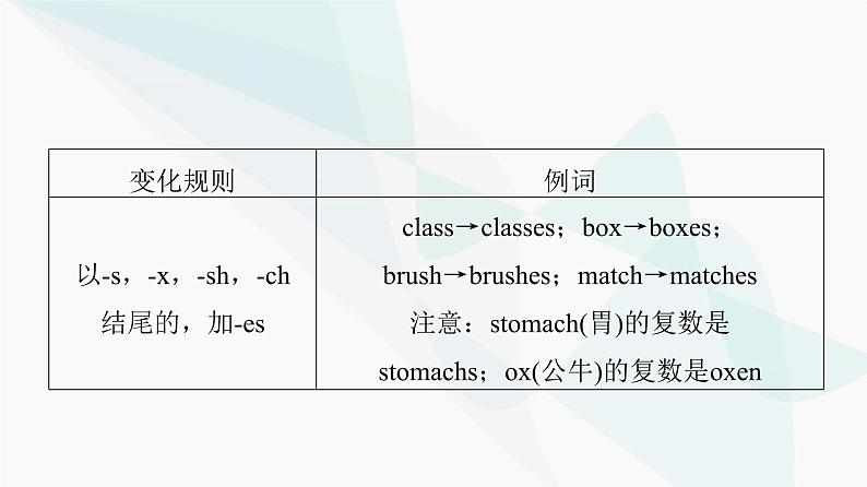 北师大版高考英语一轮复习1第1讲第1讲名词和数词课件第8页