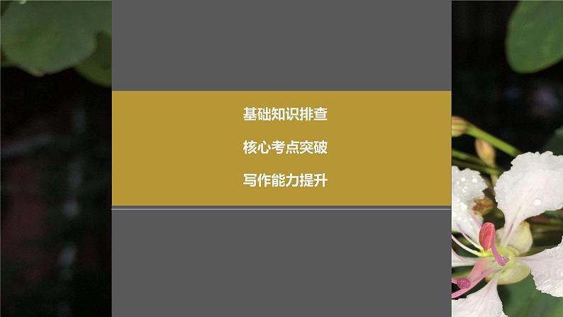 2024年高考英语一轮复习课件（新人教版） 第1部分 教材知识解读 必修第三册 Unit 2　Morals and Virtues02