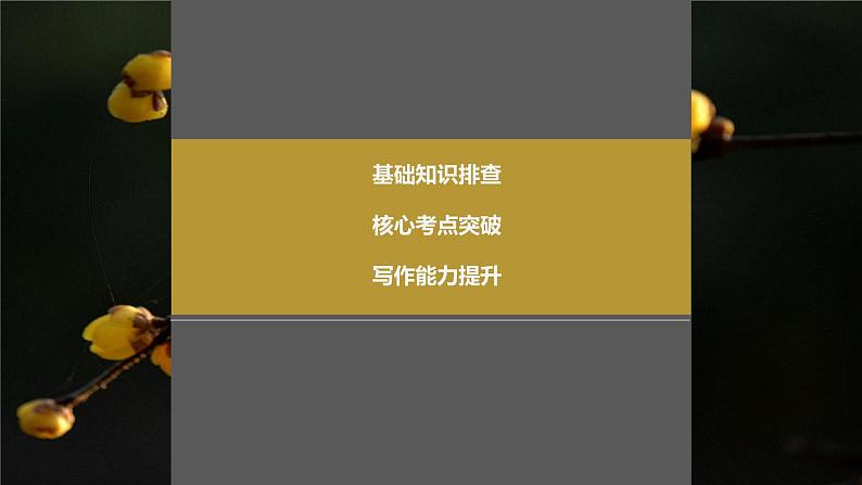 2024年高考英语一轮复习课件（新人教版） 第1部分 教材知识解读 必修第一册 Unit 1　Teenage Life02