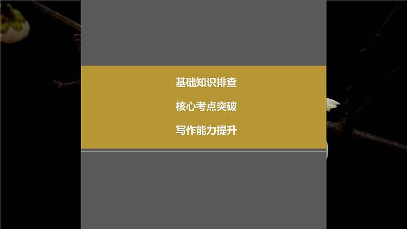 2024年高考英语一轮复习课件（新人教版） 第1部分 教材知识解读 选择性必修第二册 Unit 1   Science and Scientists第2页