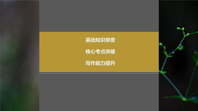 2024年高考英语一轮复习课件（新人教版） 第1部分 教材知识解读 选择性必修第四册 Unit 1   Science Fiction04