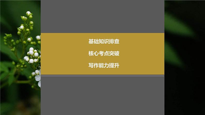 2024年高考英语一轮复习课件（新人教版） 第1部分 教材知识解读 选择性必修第一册 Unit 1　People of Achievement04