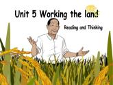 人教版高中英语选修一 Unit5 Working the Land 阅读课件
